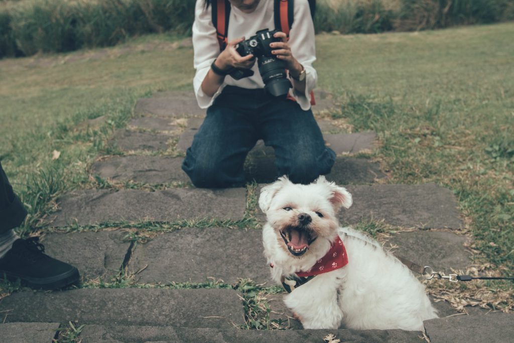 wildlife photography on your pet - How to turn quarantine into a “Staycation”