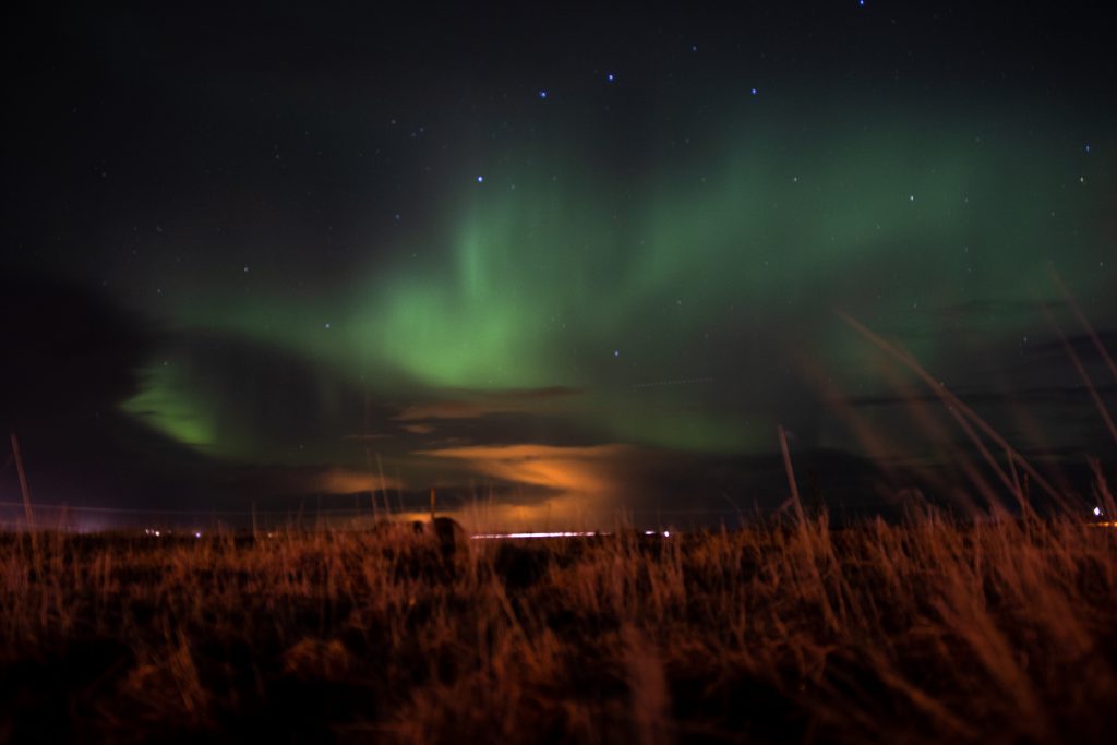 Northern Lights in Iceland © Danni Arndt