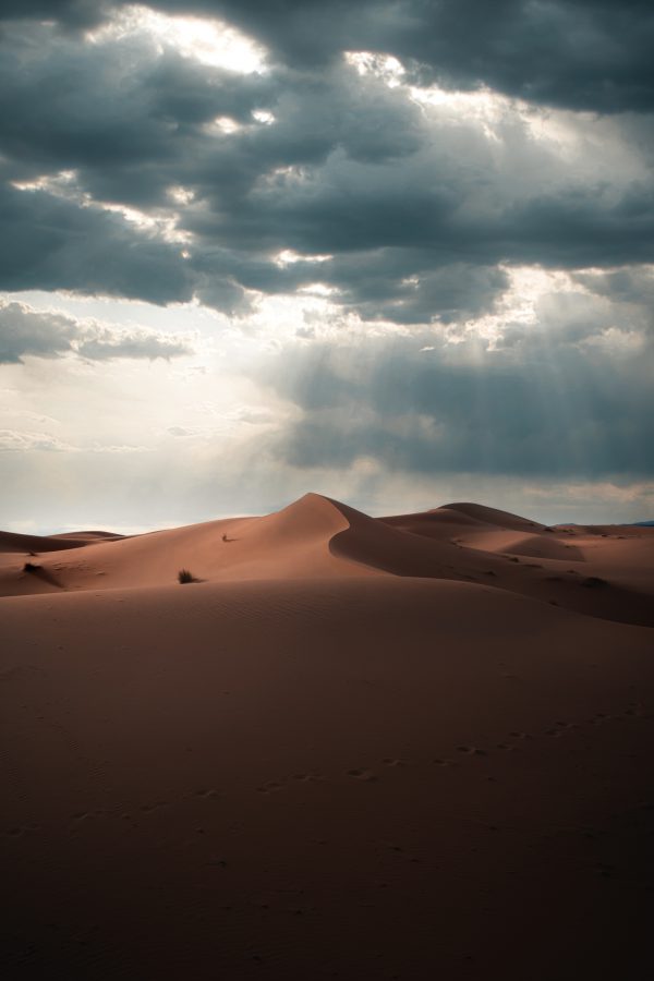 Stargazing in the Sahara desert - Wanderlust Pulse