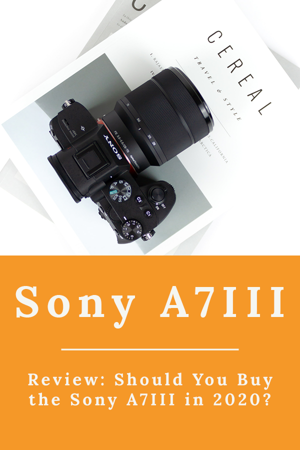 A7III - Review: Should You Buy the Sony A7III in 2022?