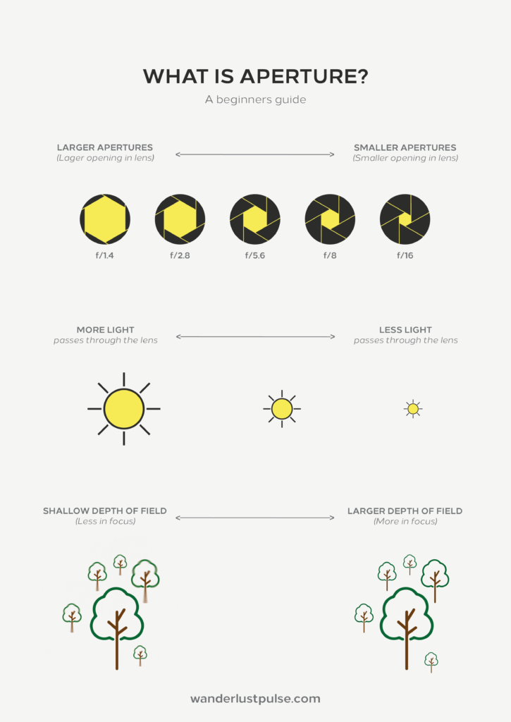 Understand Exposure: What is aperture?