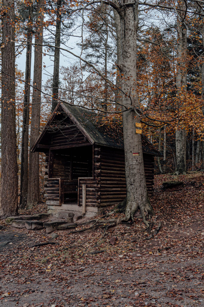 Wegelnburg Hut