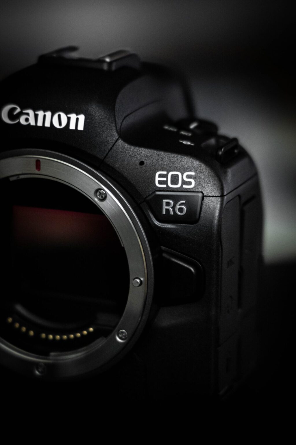 canon r6 for travel